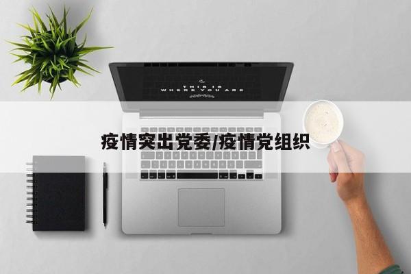 疫情突出党委/疫情党组织