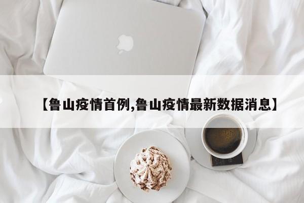 【鲁山疫情首例,鲁山疫情最新数据消息】
