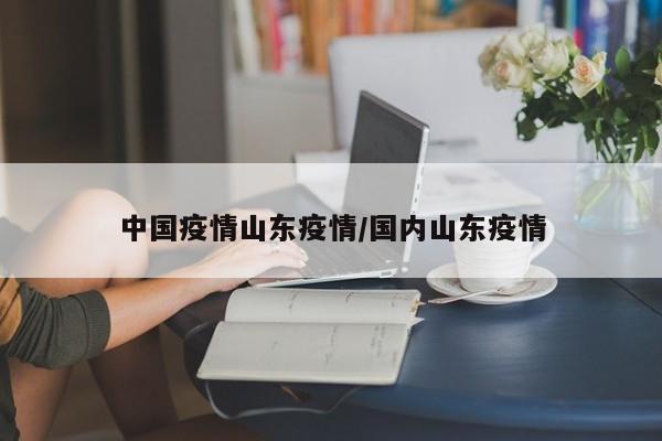 中国疫情山东疫情/国内山东疫情